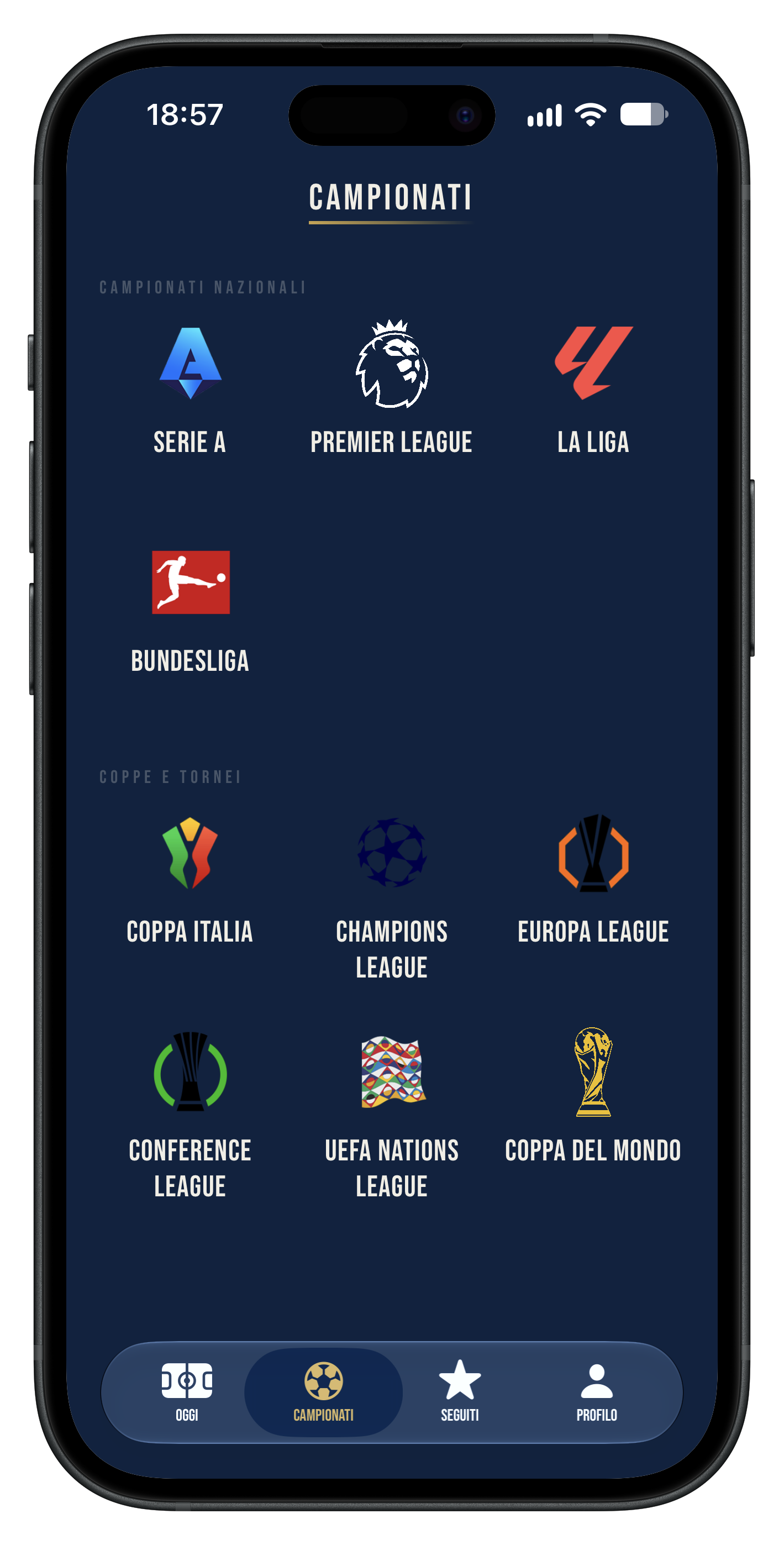 Campionati e coppe in CHILENA